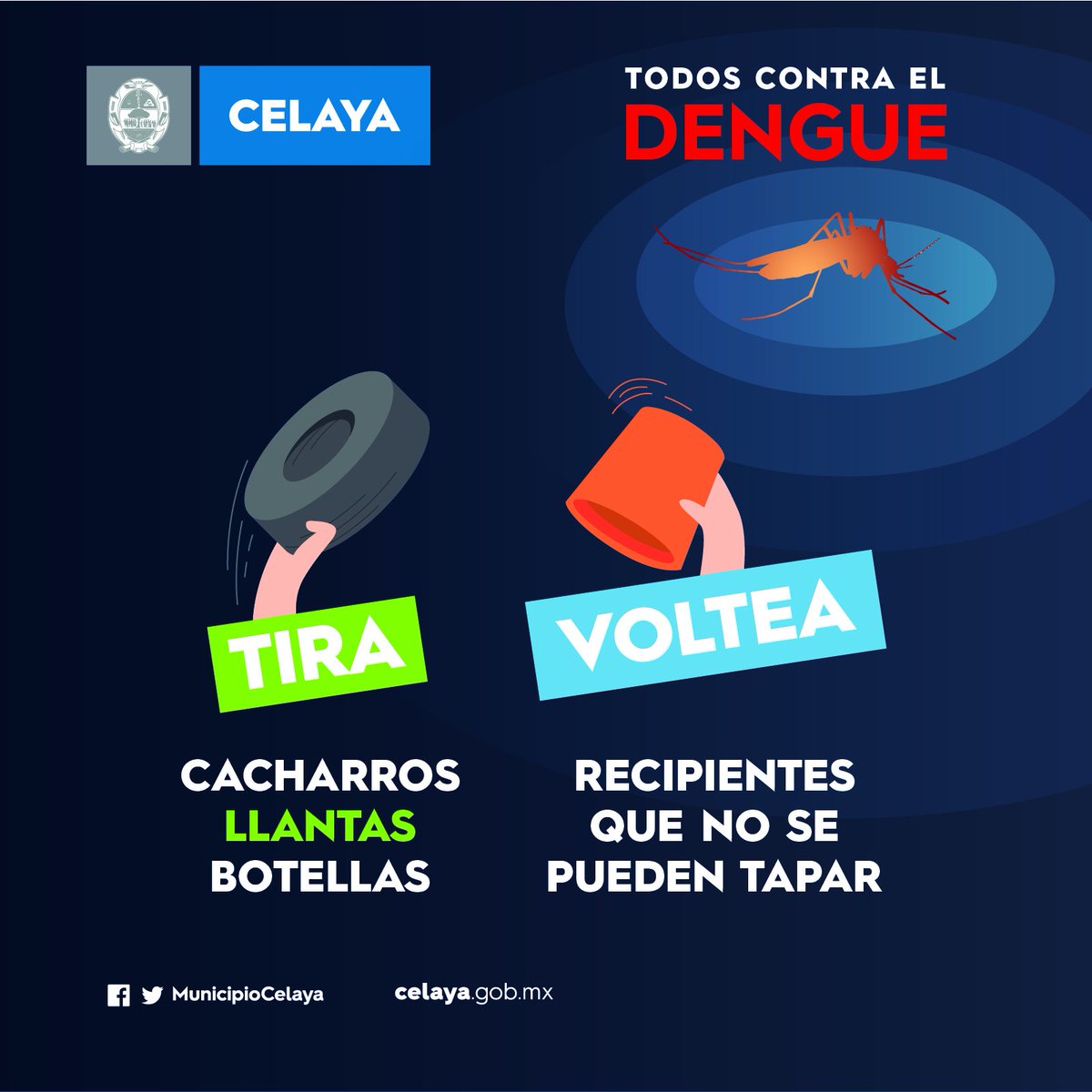 municipiocelaya's tweet photo. Evitemos la aparición del mosquito del dengue siguiendo las indicaciones emitidas por las autoridades.
Y si presentas los síntomas acude a tu centro de salud más cercano #Celaya https://t.co/hXDKSaPCb4