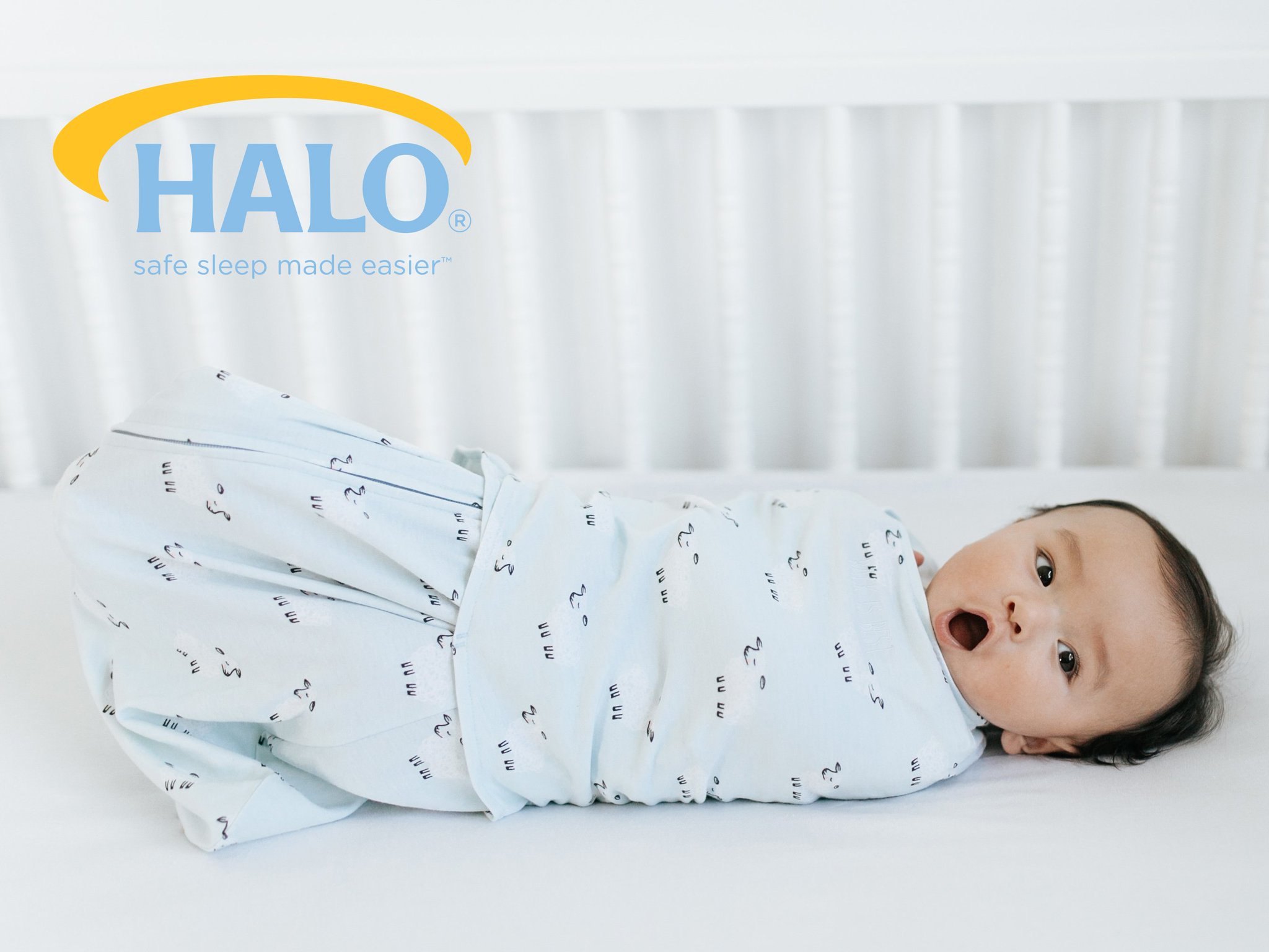 buybuybaby halo bassinet