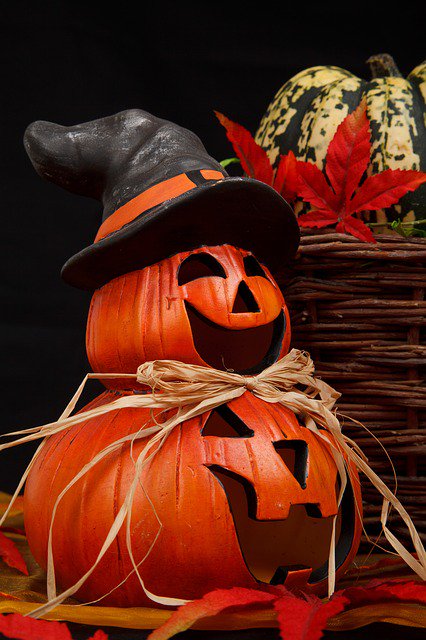 HRGreenwich's tweet photo. Celebrate #Halloween in Greenwich at the Great Jack O'Lantern Blaze, a spooktacular celebration featuring 7,000 illuminated, hand-carved pumpkins including a spinning pumpkin carousel. Open through November 24. #HyattRegencyGreenwich https://t.co/abG2yrye1D https://t.co/Ja6ocChbMN