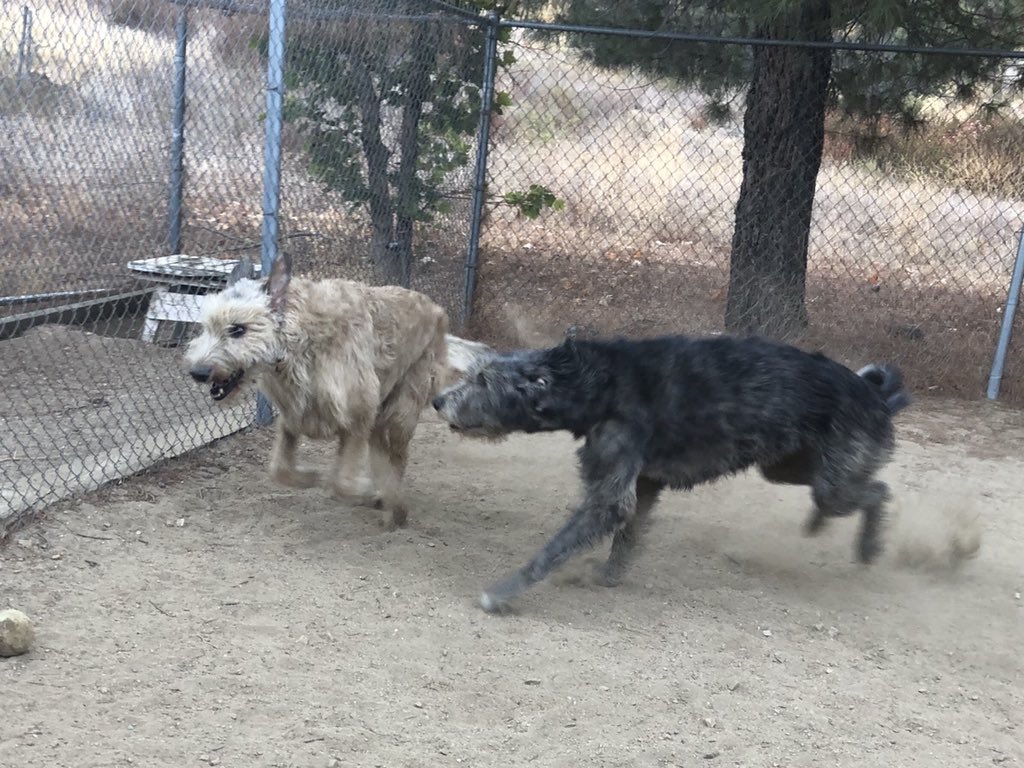 #MotivationMonday make it yours 😊