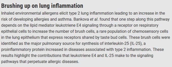 In <a href="/SciImmunology/">Science Immunology</a>: understanding the role of airway brush cells in the inflammatory pathways behind asthma scim.ag/2xYn5ej