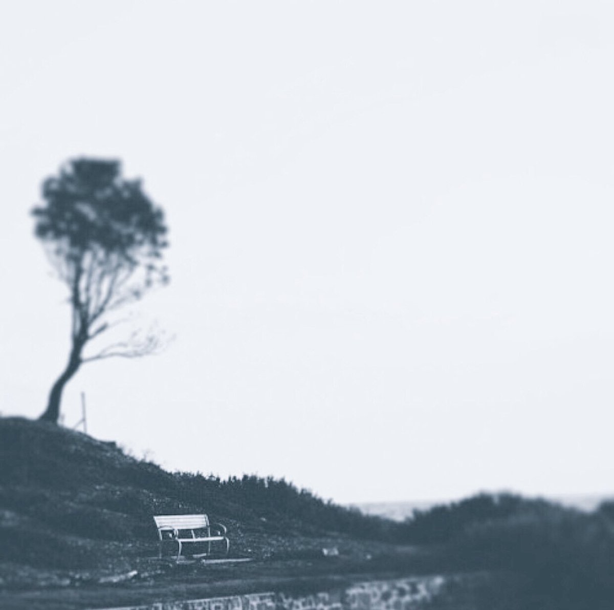 إحذر  تغش الناس  لوكان غشوك
غادر بصمت وخل خاطرك صافي

والدرب خله سمح  لاتزرعه شوك
يمكن  يجيبك يوم .. وتمر حافي