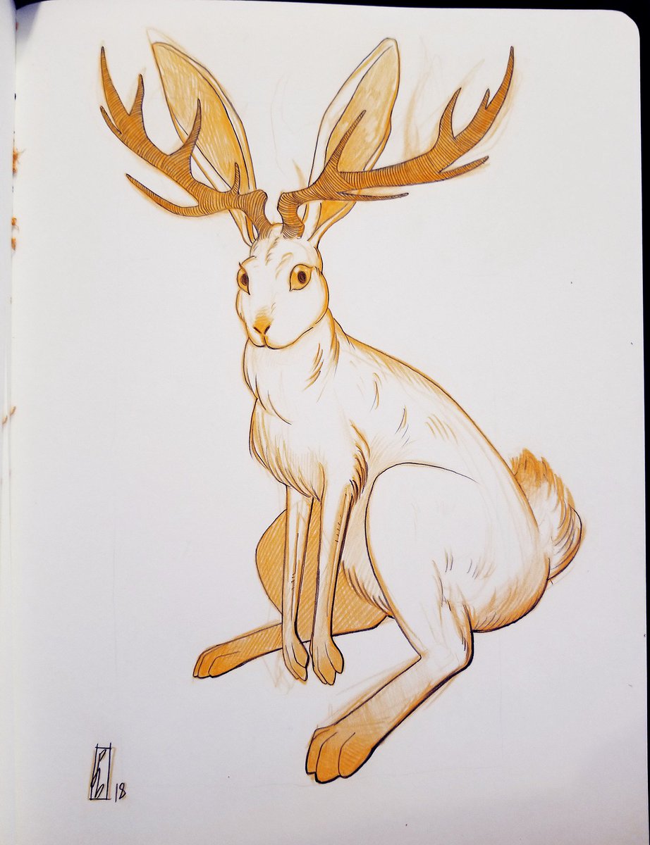 the legendary jackalope 🐇🦌