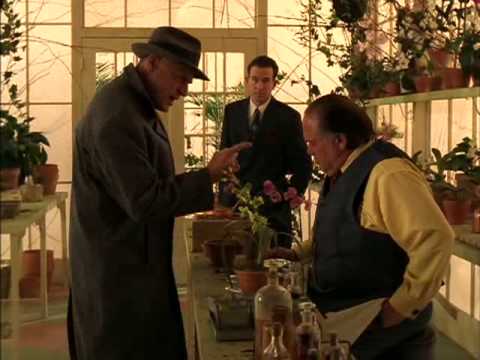 ArchieGoodwin's tweet image. Been away working on a top secret project. Nero has this deal with the government so that I don't go overseas and stay to help him. Mr Stay at Home as Inspector Cramer calls me.