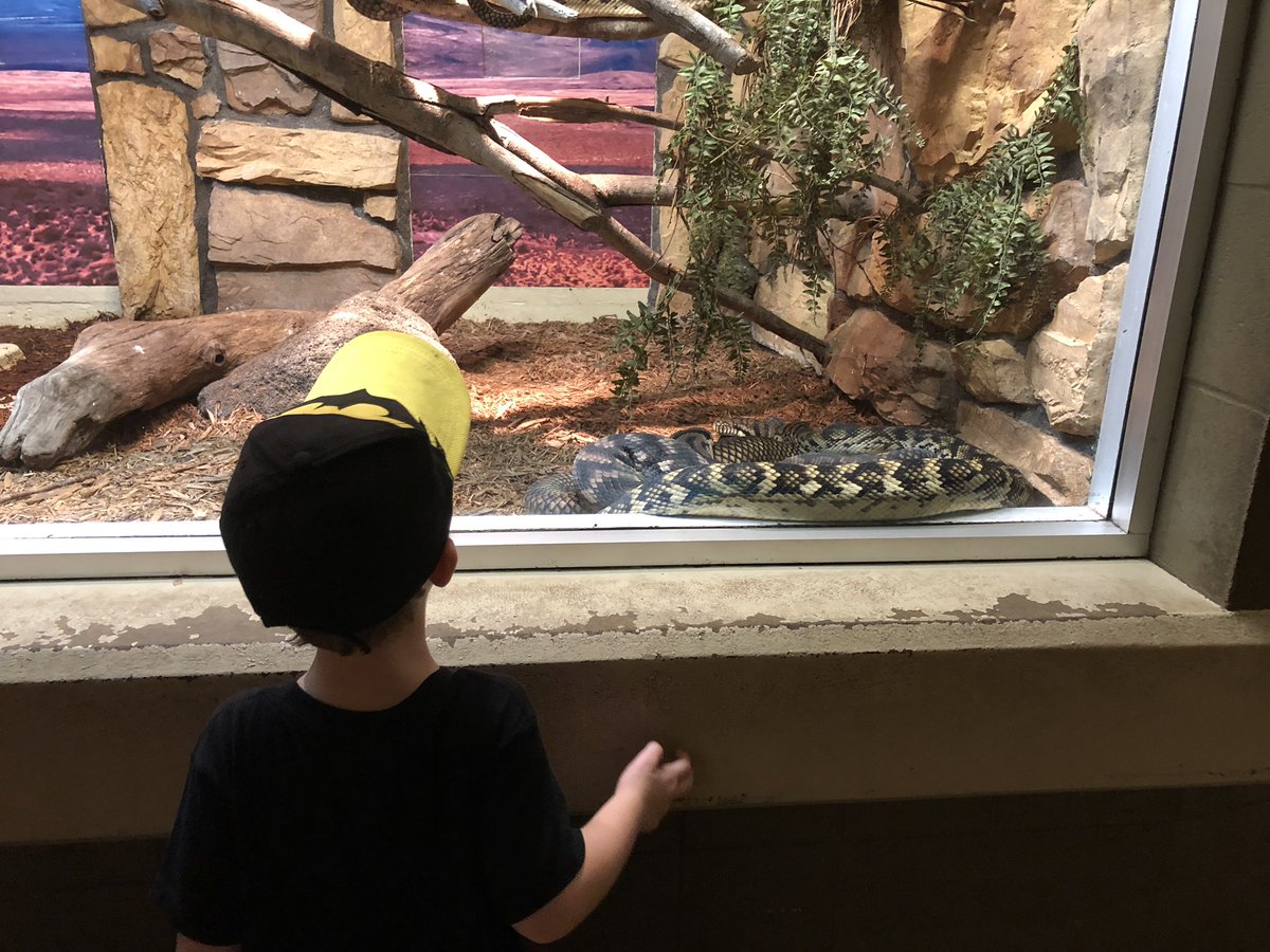 RedheadKy23's tweet photo. Lover of all things at the @ColumbusZoo
#futurezookeeper https://t.co/SMFchsXlZM
