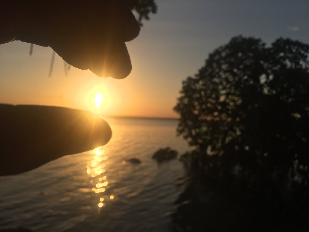 _odivoh's tweet photo. Sunset in Watamu 🇰🇪,,,, https://t.co/bOIU2Wword