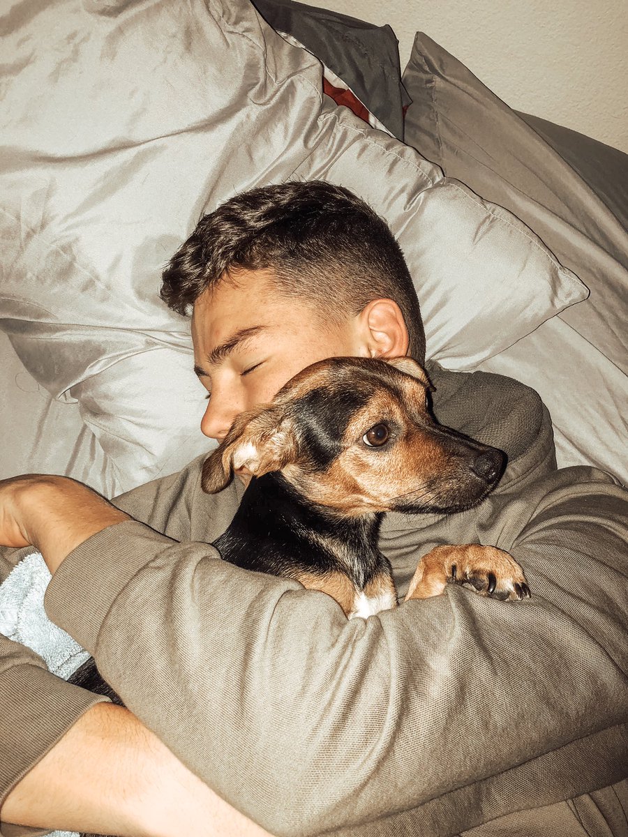 oceaneeeebi's tweet photo. Jour férié aujourd’hui! On fait la grasse mat ! https://t.co/fBNsJNmMBc