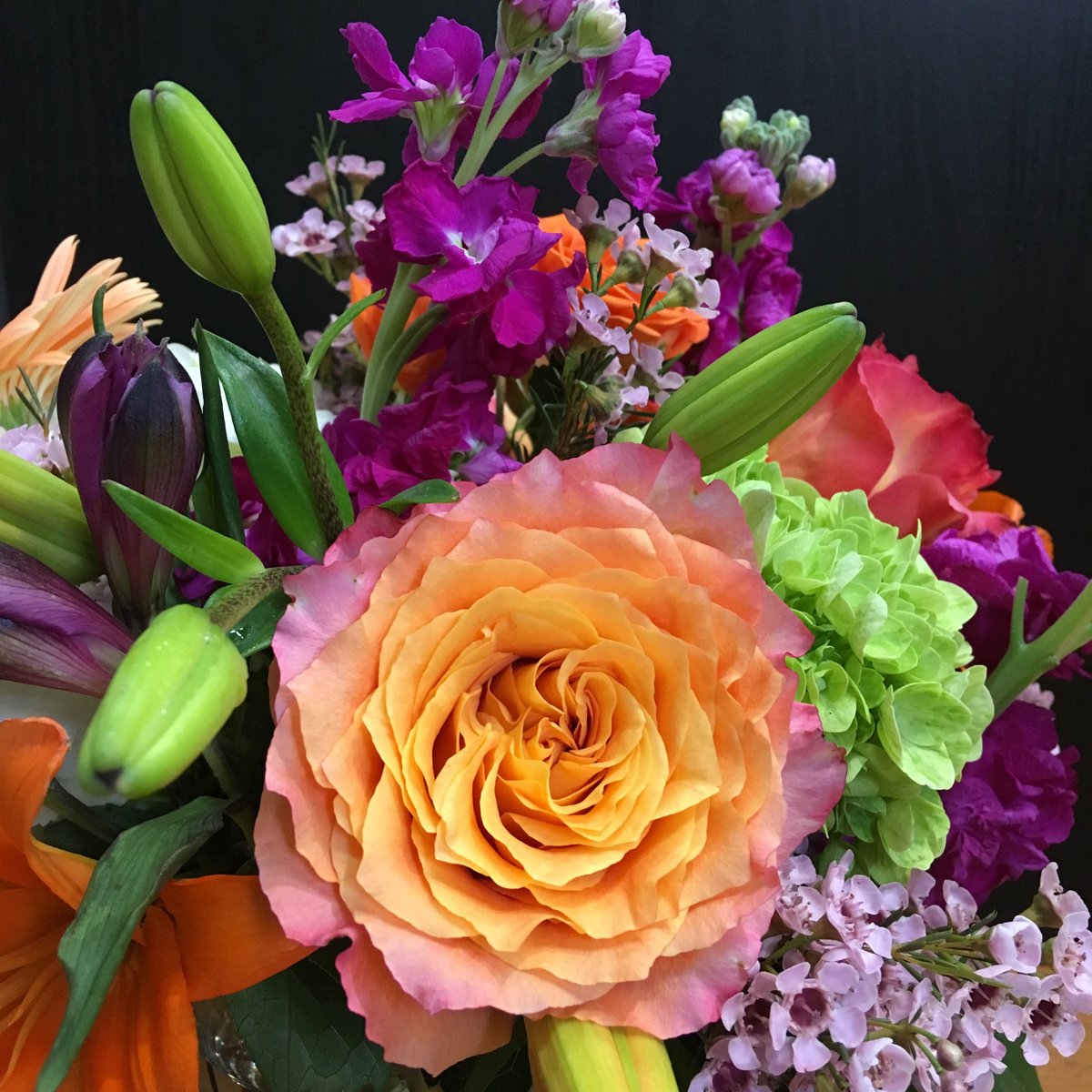 Enchanted Florist tweet media