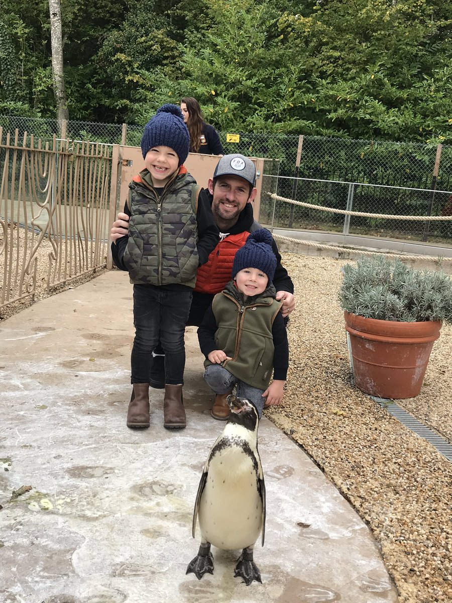 MrsDibs08's tweet image. This penguin loved his photo being taken 🤣 #Pro #PenguinFun