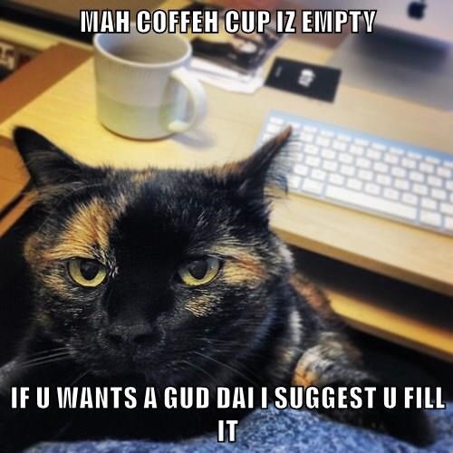 From the Kat’s Purrspective twitchytwilightreloaded.wordpress.com/2018/10/08/fro…