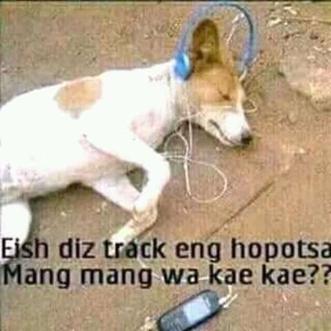 ContraThabo's tweet photo. Eish #GetsGetsa bafe2  ke hit https://t.co/lyIHWLBbCJ