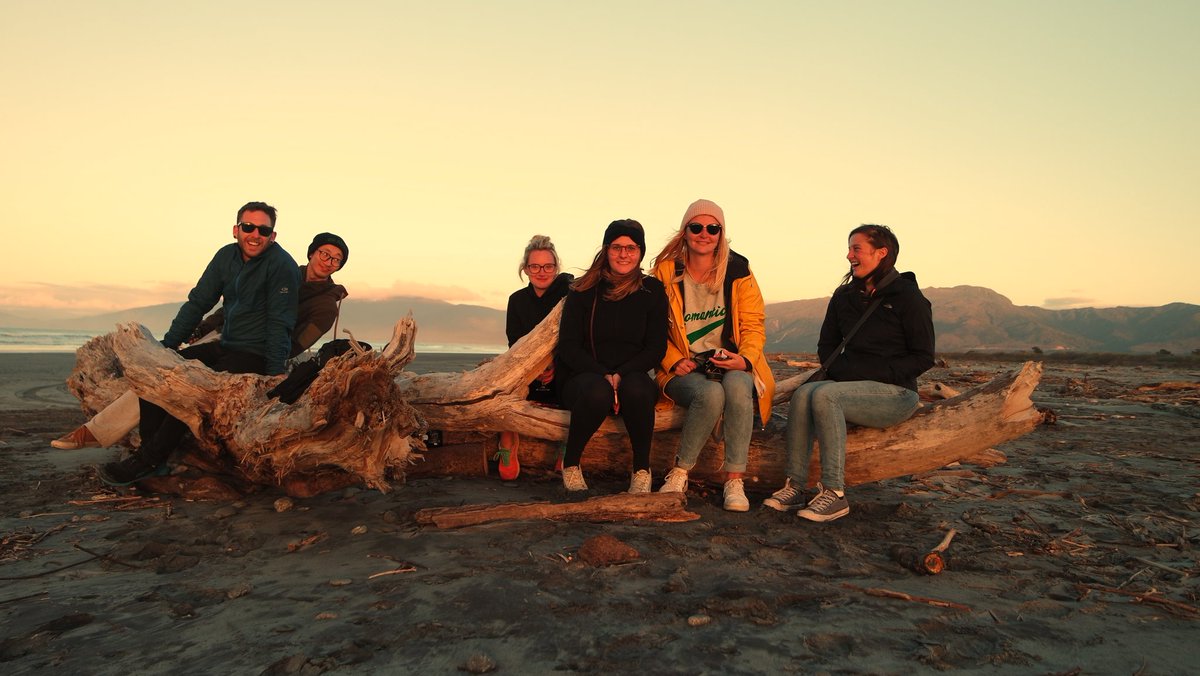 StrayNat's tweet image. #sunsets on the beach with my @Straybus crew.  There is always a log or two to sit on.  #driftwood #westcoast #NZRoadtrip