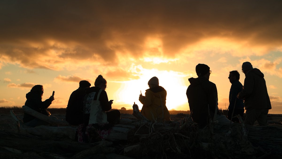 StrayNat's tweet image. #sunsets on the beach with my @Straybus crew.  There is always a log or two to sit on.  #driftwood #westcoast #NZRoadtrip