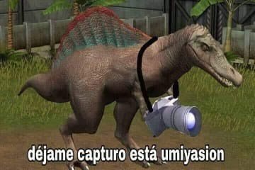RiosCab's tweet photo. @werevertumorro https://t.co/rc5r9PVCpK