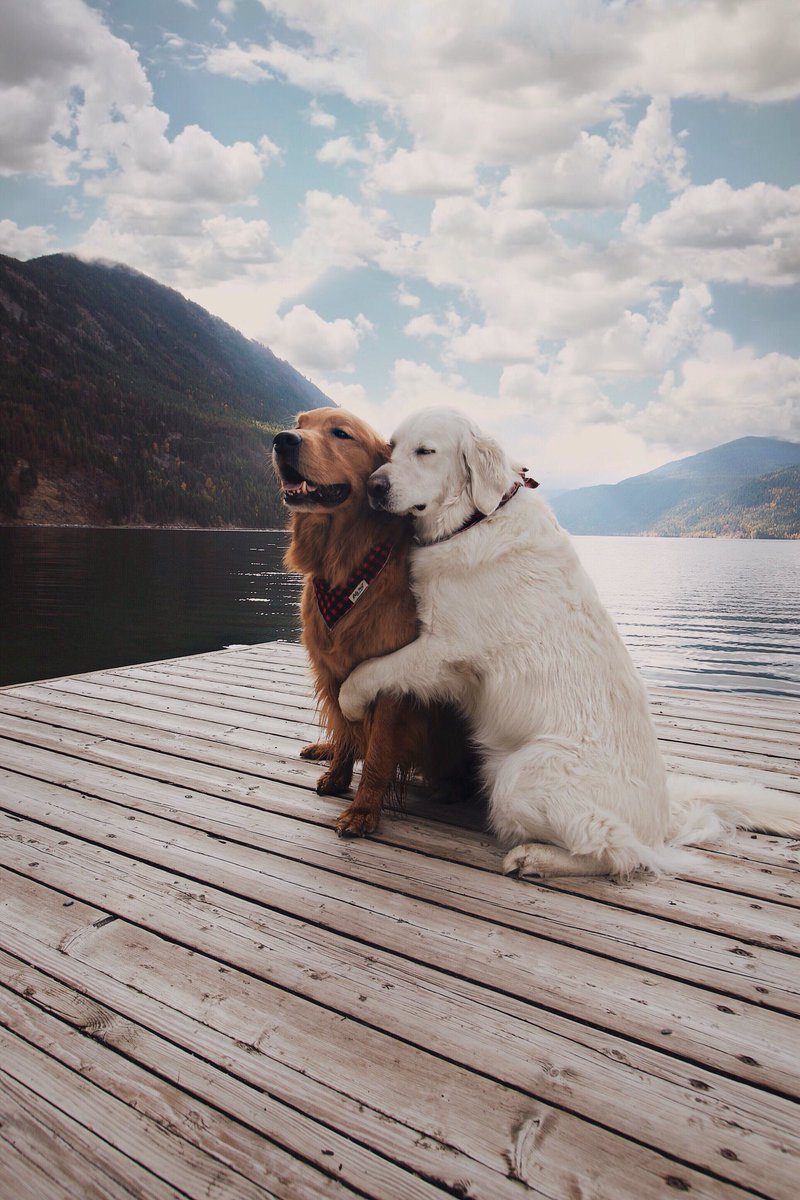 coffee_n_mtns's tweet photo. Relationship goals https://t.co/mSms9O8Eao