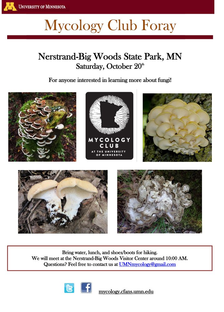UMNMycology's tweet image. If you one of our many followers, you are probably interested in learning more about #Fungi. We will held a #Foray this Saturday October 20th, 10.00 am at Nerstrand-Big Woods #StatePark, MN. Bring water, lunch, and shoes/boots for hiking. More info on the flyers
#Mycology #Fall