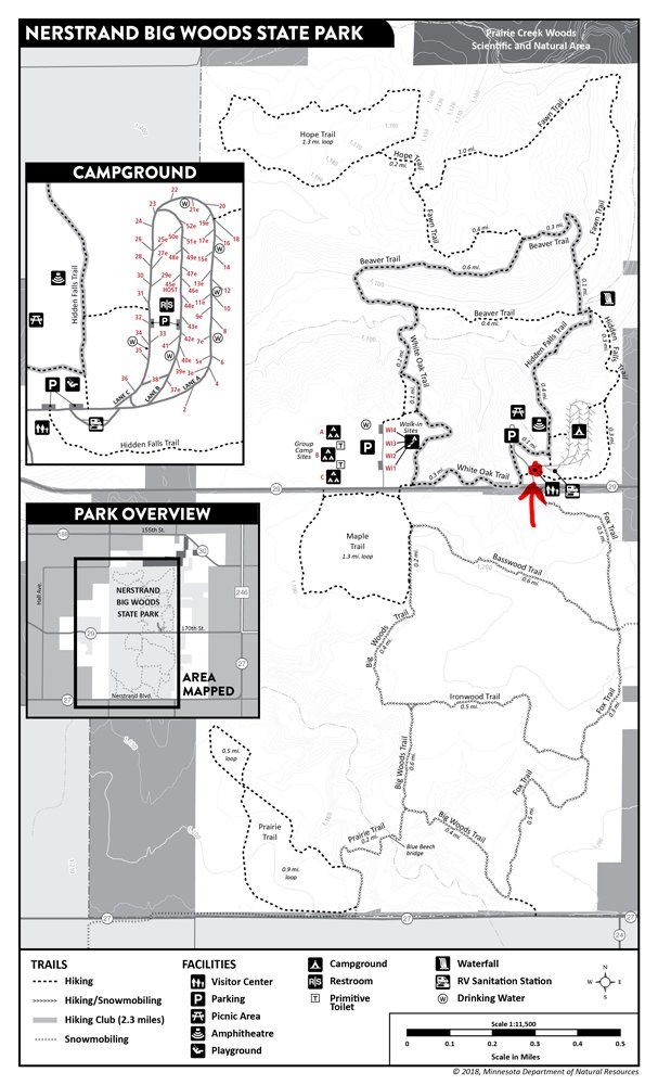 UMNMycology's tweet image. If you one of our many followers, you are probably interested in learning more about #Fungi. We will held a #Foray this Saturday October 20th, 10.00 am at Nerstrand-Big Woods #StatePark, MN. Bring water, lunch, and shoes/boots for hiking. More info on the flyers
#Mycology #Fall