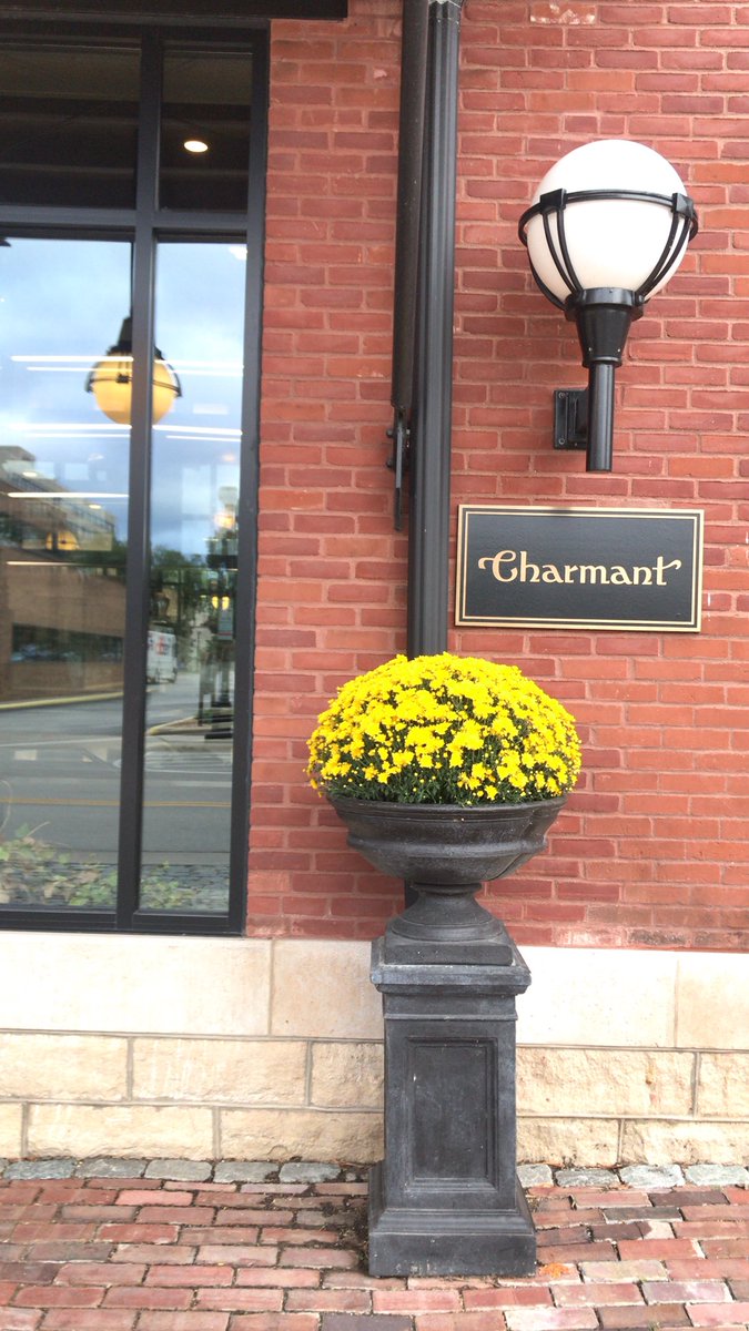 Aparium's tweet photo. It’s almost peak leaf season in the Driftless Area, and @TheCharmantLC is front and center for it. https://t.co/nmCDcFQBD1