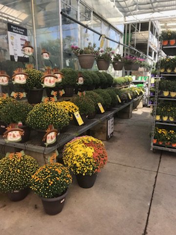 Gio1_PBF's tweet photo. Home Depot 6334 St Augustine, Monday replenishment, #MondayMorning #hd6334 #HomeDepot #Tropicbreeze #mondayrecovery #mumsday #Letsdothis @bjryan3 @PBFmedia @Victorpbfinc @Theresa_PBF https://t.co/utgsAZQVhj