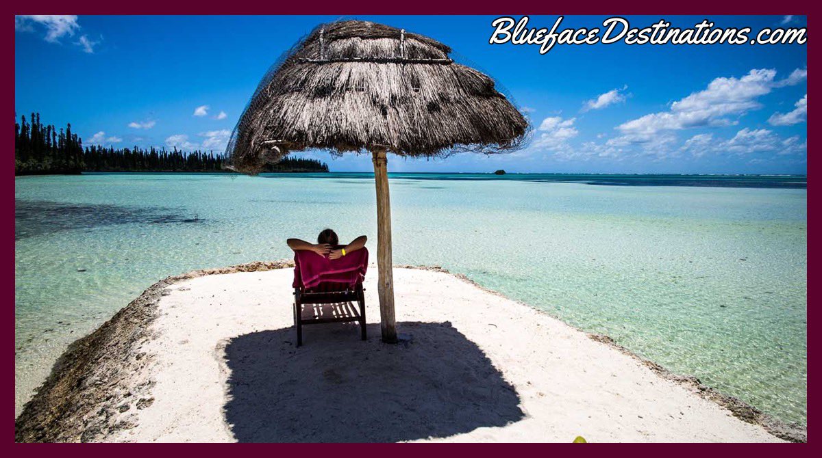 Mzfaithfulntrue's tweet photo. Fly to the Heart of Pacific #Blueface #TravelSpecial #BluefaceDestinations https://t.co/8C7Bnicygb #TravelTime #Trip #iBookWithBlueface #Traveling #AroundTheWorld #LuxuryTravel #Travel @Blueface_Dest #LuxuryLife #Travelers #TravelTheWorld #Trips #Special #TravelLife #Vacations https://t.co/cC1CVGMyLJ