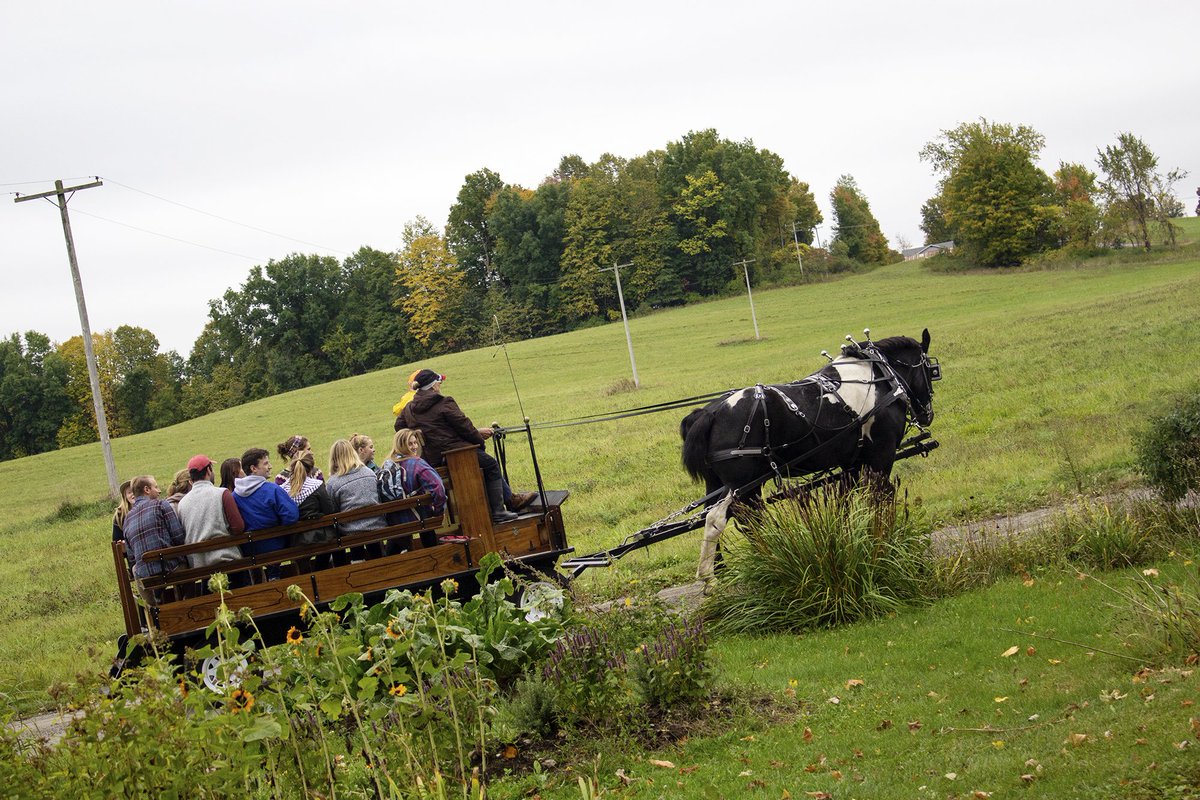 StLawrenceU's tweet image. Games, music, cider pressing, hayrides, and more! Thanks to the @SLUsusprogram &amp;amp; the Outing Club for hosting a fantastic Harvest Fest over the weekend.