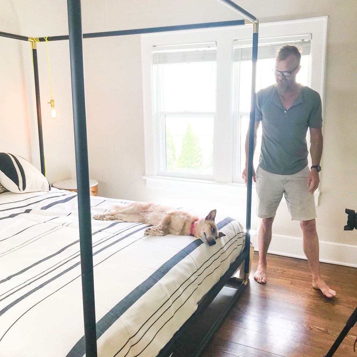 RookRender's tweet photo. Mija knows how to work the camera...and us.

#bts #phototshoot #rookandrenderpup #homedecor #dogsofinstagram #redheeler #makehomeyours #handwovenpillows #handwovenrugs #nesttoimpress #passionforinterior #interioraddict #mycreativeinterior #interiorlovers #interiordesign https://t.co/lzneHeMiZU