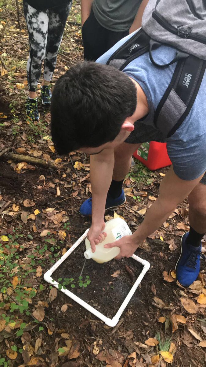 EcologyDude's tweet photo. Doused in mustard solution, stained with chalk, thorned by Berberis thunbergii, exhausted from the treacherous walk back... But all in all it was worth it because I got to play with salamanders!

#ees152 https://t.co/D6Zxu0R1QM