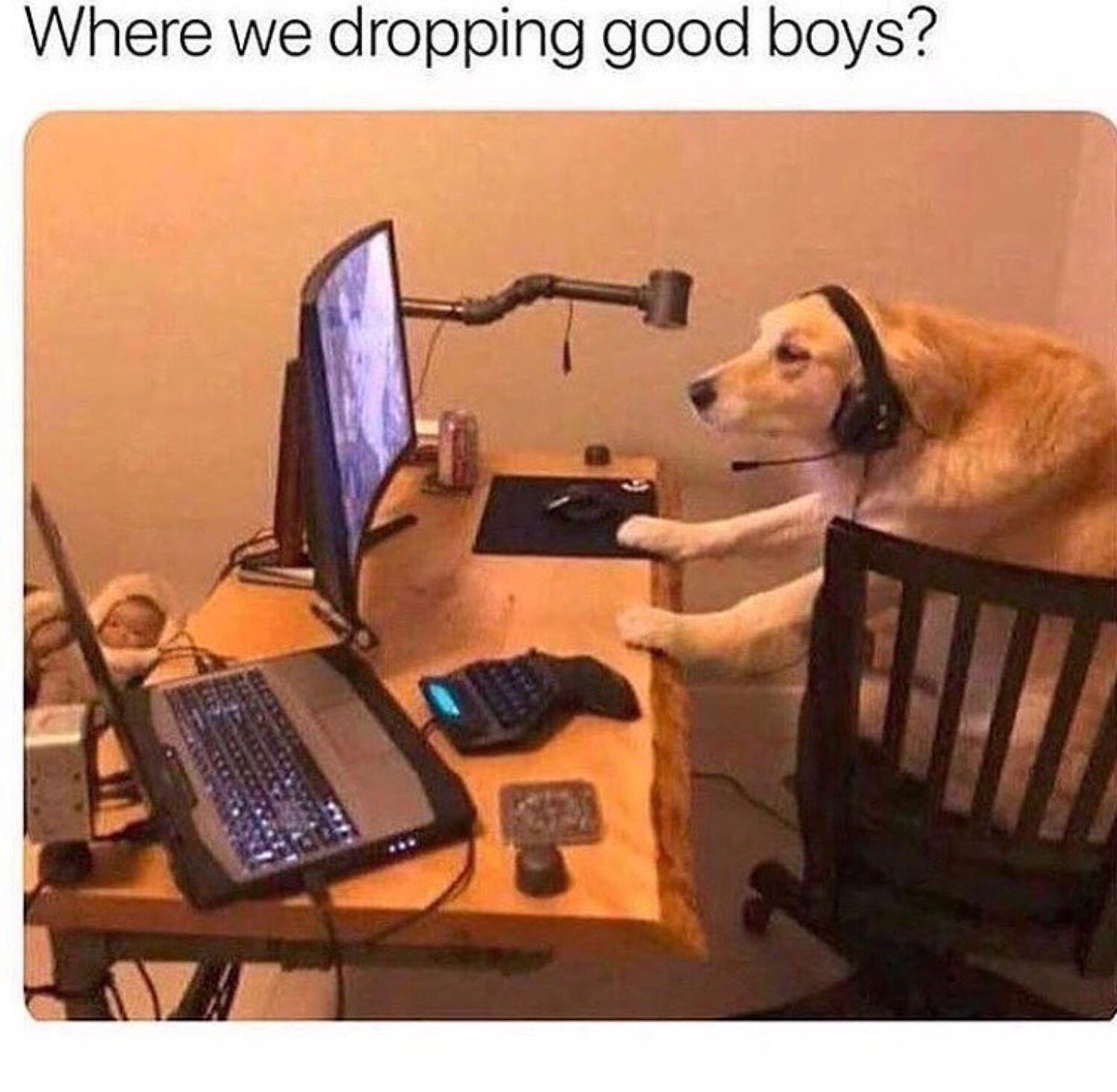 WORLDSTAR's tweet photo. “Where we droppin?!” 😂🤦‍♂️ https://t.co/d1EYWYeew0