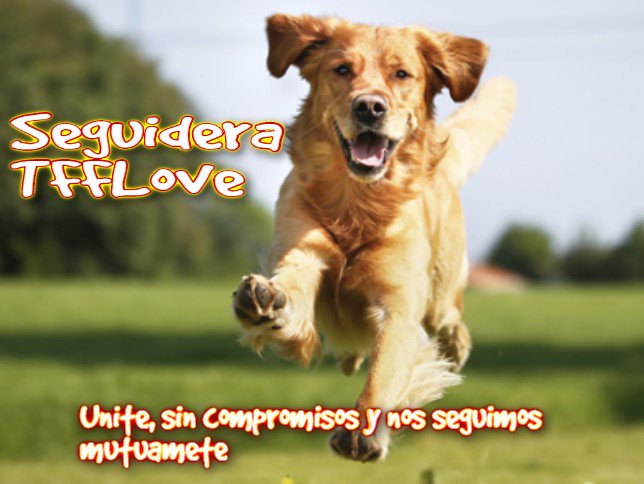MalacaraDog's tweet photo. @WebOz_ @FrancoFA89 @guiller25136814 @6tito6 @MiguelA83640062 @fitoazul1 @gust1012 @ks_travel @AildoVidal @naturelove__zoo ╔╗ ✔💯 𝕊𝕖𝕘𝕦𝕚𝕕𝕖𝕣𝕒
╬╔╗║║╔╗╗╗╗🔛
║╚╝╚╚╚╝╚╩╝#𝕋𝔽𝔽𝕃𝕠𝕧𝕖
🇹@WebOz_
🇫@FrancoFA89
🇫@guiller25136814
🇱@6tito6
🇴@MiguelA83640062
🇻@fitoazul1
🇪@gust1012
🔝#𝓡𝓮𝓬𝓸𝓶𝓲𝓮𝓷𝓭𝓸🔄
⏩@ks_travel
⏩@AildoVidal
⏩@naturelove__zoo https://t.co/rKBqfaqNyH
