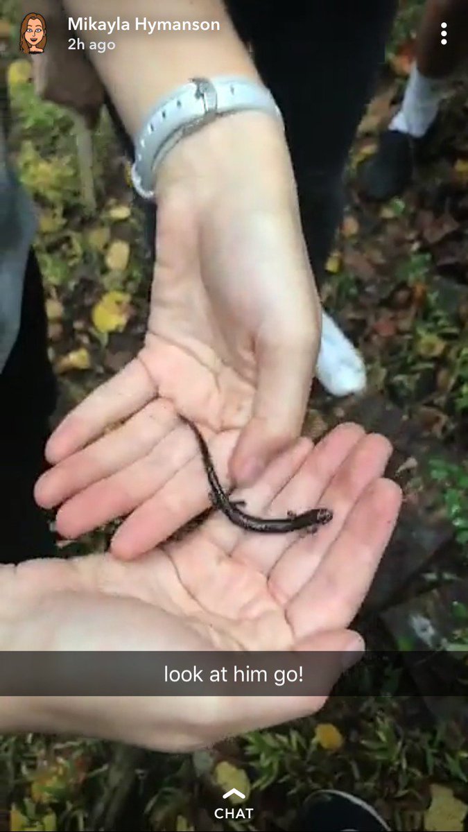 EcologyDude's tweet photo. Doused in mustard solution, stained with chalk, thorned by Berberis thunbergii, exhausted from the treacherous walk back... But all in all it was worth it because I got to play with salamanders!

#ees152 https://t.co/D6Zxu0R1QM