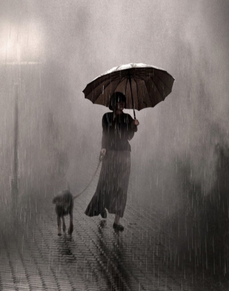 quetatoc's tweet image. Saul Leiter