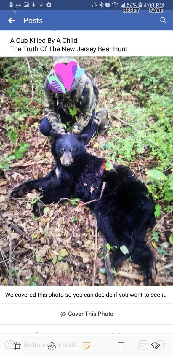 HCsunshine's tweet image. Kids killing cubs for trophy in New Jersey. Are you proud Phill? #njgovernor #murphy #phillmurphy #vegan #animalrights #stopthebearhunt