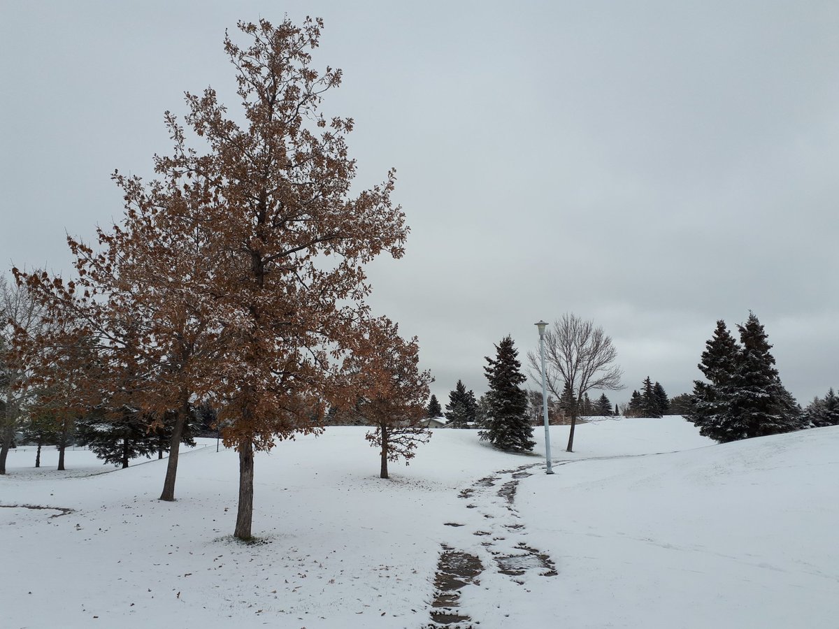 DavidHsu_'s tweet photo. Crisp, fresh air with a light chilling breeze wakes up your senses.
#Yeg #WinterWonderland #FallHasFallen
#WinterFall #NaturalFreezeScenery #Frozen https://t.co/aIA1r1aLg1