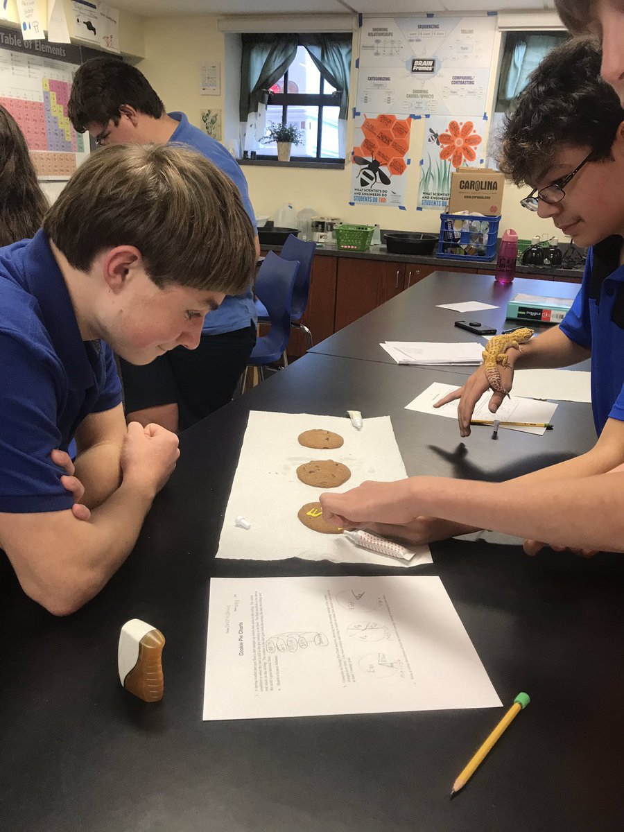 MrsWaltonWRUS's tweet photo. Representing energy change with “cookie” pie charts in Physical Science #yum https://t.co/Gxc0N5z9KN