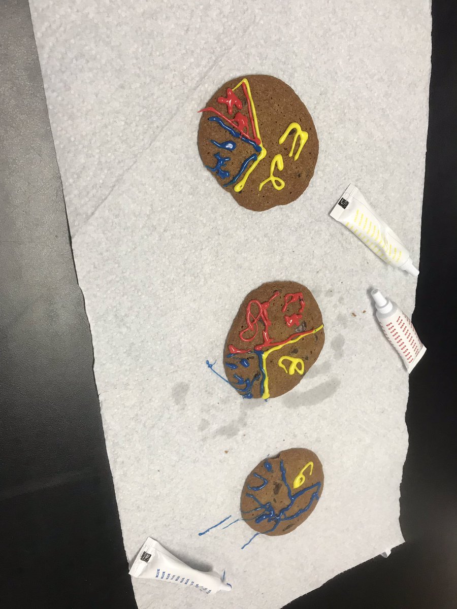 MrsWaltonWRUS's tweet photo. Representing energy change with “cookie” pie charts in Physical Science #yum https://t.co/Gxc0N5z9KN