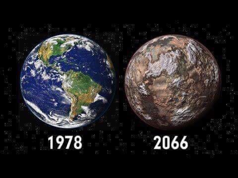 mollmcgrathx's tweet photo. @room_rainbow love these pictures to get the children involved in talking about plastic pollution! Do they know the real consequences? #thinkingquestion #justonemoreplasticbag #geography https://t.co/JPYCEFr4vL