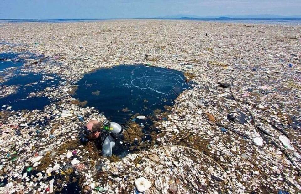mollmcgrathx's tweet photo. @room_rainbow love these pictures to get the children involved in talking about plastic pollution! Do they know the real consequences? #thinkingquestion #justonemoreplasticbag #geography https://t.co/JPYCEFr4vL