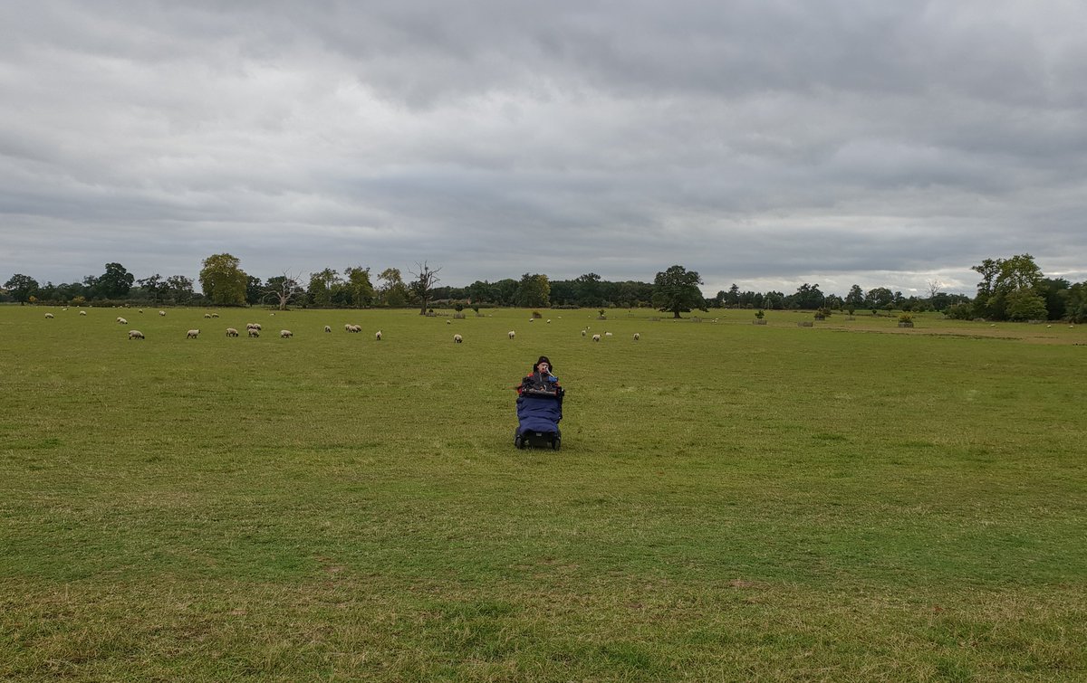 DanielBaker_eu's tweet photo. Visiting @NTCroome with Peppa the chihuahua #dmdadultliving #dogsofcroome https://t.co/oMQrYv1qVv