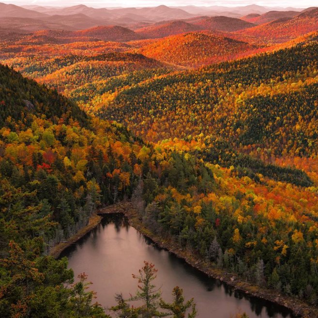 PureHealthyLvng's tweet photo. The Adirondacks are in peak foliage here in Upstate NY! Where's your favorite Fall hiking spot? #fall #foliage #fallfoliage #autumn #adk #exploreadk #adirondaks #love #adventure #explore #purehealthyliving https://t.co/kTuX4qMI9I