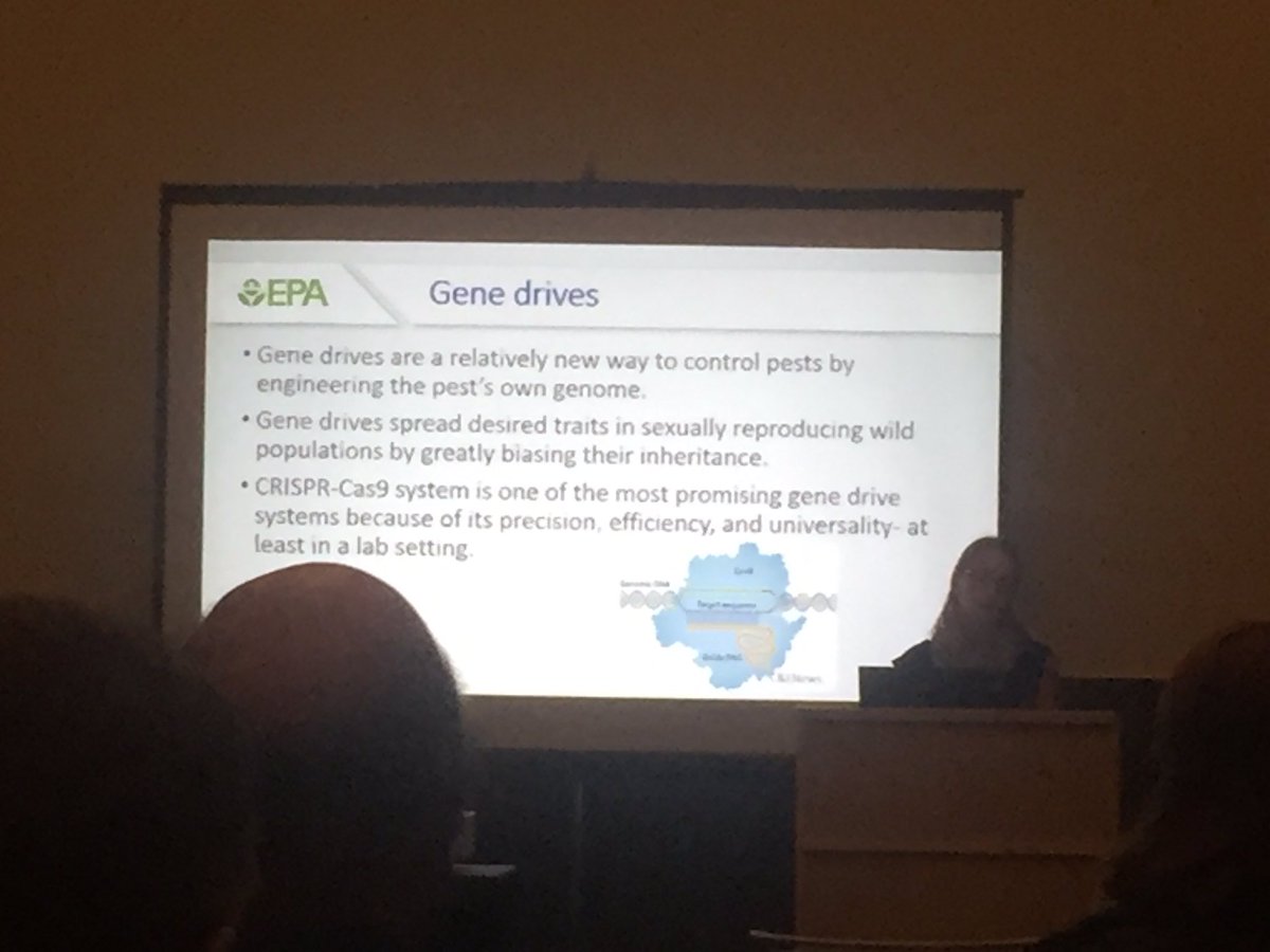 claudiawultsch's tweet photo. Caroline Ridley talks about gene drive and its application in #wildlife conservation and management #TWS2018 #session27 #GE https://t.co/9rYQXFLFmW