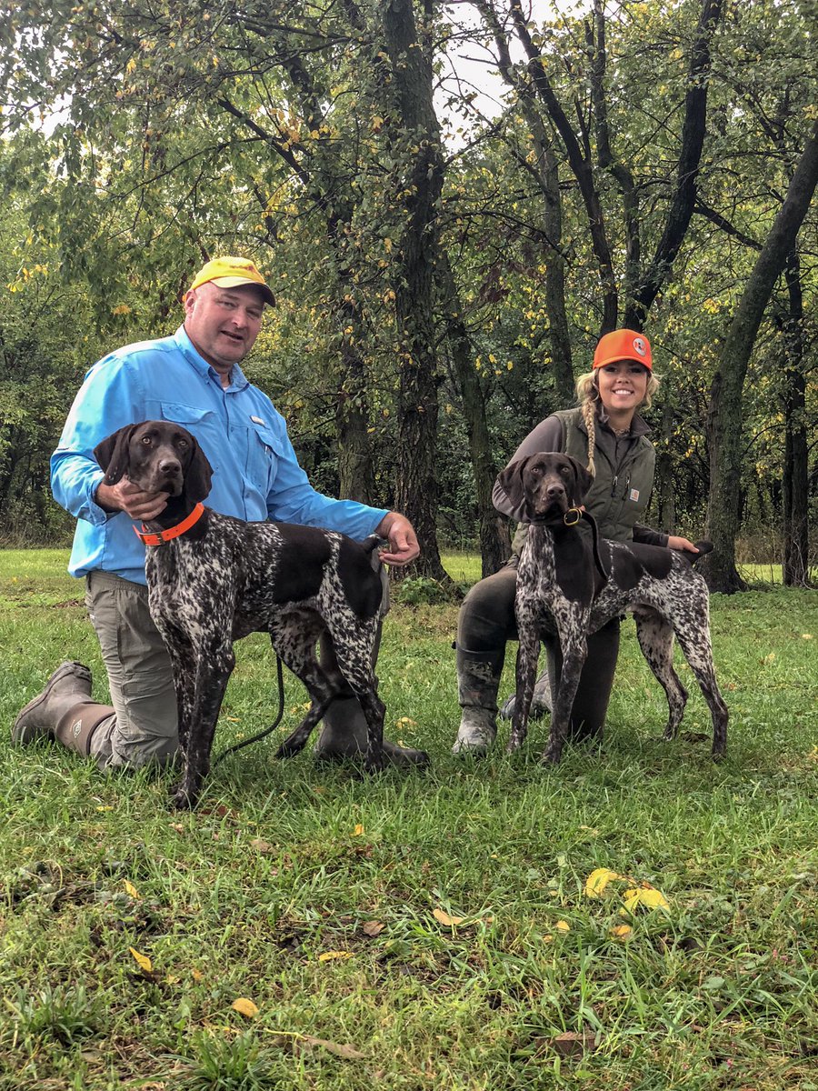 nolimitskennels's tweet photo. An amazing rainy weekend! 🏆5 NAVHDA Natural Abilities Prize 1’s with 2 Perfect scores. One Natural Ability Prize 2. One Utility Prize 3. And One NAVHDA International Breeders award in the bag #StackingBirds #stackingpapers #champions #NAVHDA #ThisisNLK #Germanshorthairedpointer https://t.co/n0BIG0eOZH
