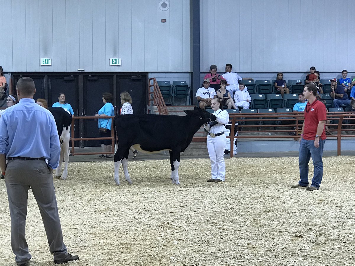 rdrewsjr's tweet photo. Proud of the great 4H and the FFA kids showing their animals. The future is bright! #georgiagrown #babybarn #ggatthefair https://t.co/dXGMiBuoJG