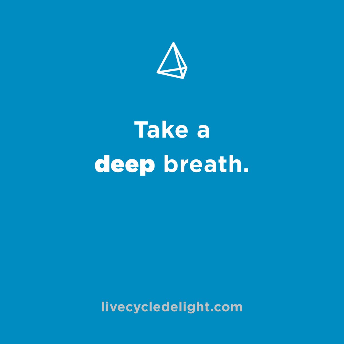 LiveCycleDelight tweet media
