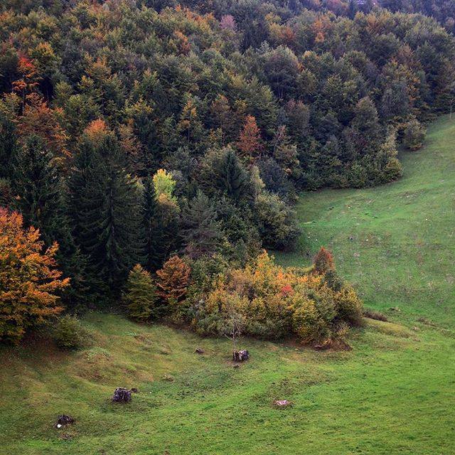 Ieri sull'@anellopiccoledolomiti, a #Recoaro, abbiamo incontrato l'autunno che inizia a farsi largo. Se andate da quelle parti più avanti ci fate vedere come sono cambiati i colori? Taggate le vostre foto sull'anello con l'hashtag #anellopiccoledolomiti … ift.tt/2IHG29b