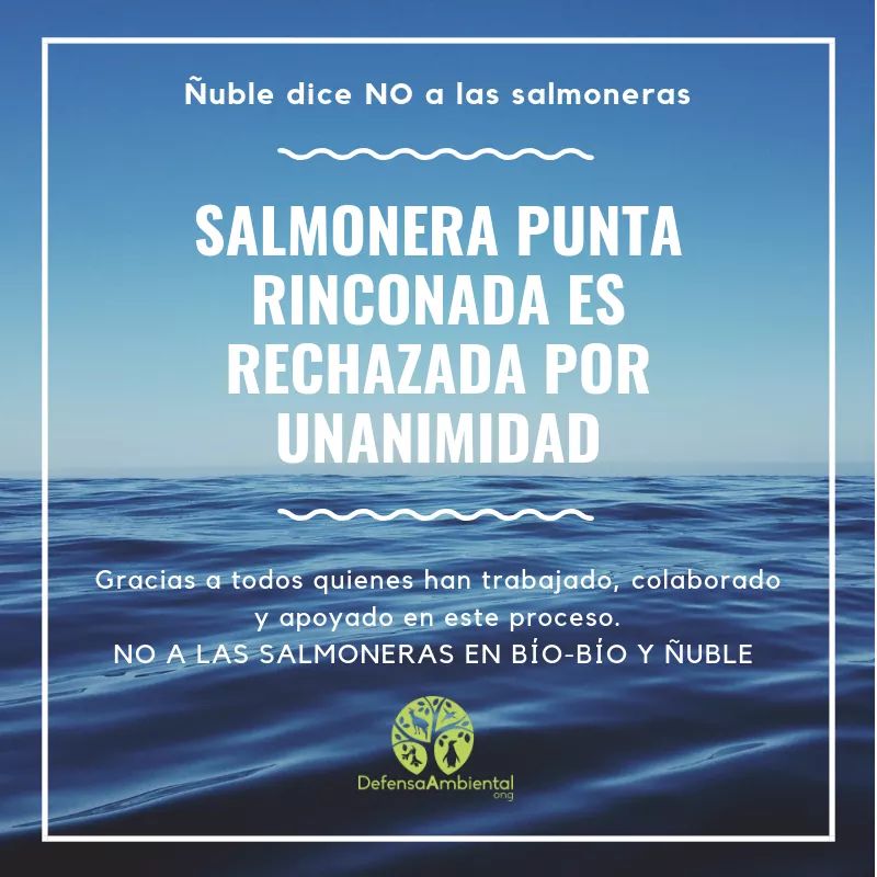 BaruManosalva's tweet photo. #ÑubleSinSalmoneras
¡Proyecto acuícola RECHAZADO! 
Grandes esfuerzos de una comunidad que hoy se hizo sentir con fuerza.
NO A LOS PROYECTOS CONTAMINANTES EN NUESTRA COSTA.

@AParqueSchleyer
@TSCobquecura
@CronicaChillan 
@MMAChile https://t.co/wHgJeIKMnz
