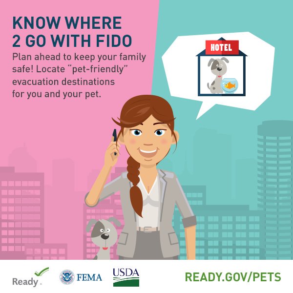 Readygov's tweet photo. Evacuating with pets 🐶🐱? Keep in mind:
✅Include your pets' food, medical records &amp; familiar items in your emergency kit.
✅Look up a few pet-friendly locations to go to using sites like https://t.co/BrqQh1hU5B.
✅Check https://t.co/OPfNn3ubOQ for more tips. 
#Michael https://t.co/cNYzIjulyK