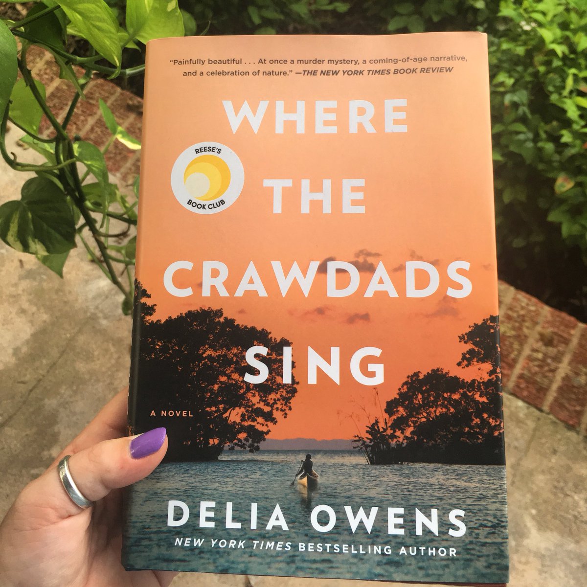 navidadvalleycc's tweet photo. Do you like to read? If so, come join our book club! This is our book for the month of October🍂 #navidadvalleycommunityconnections #schulenburg #bookclub #activeseniors #seniorcenter https://t.co/yddnZig7vC