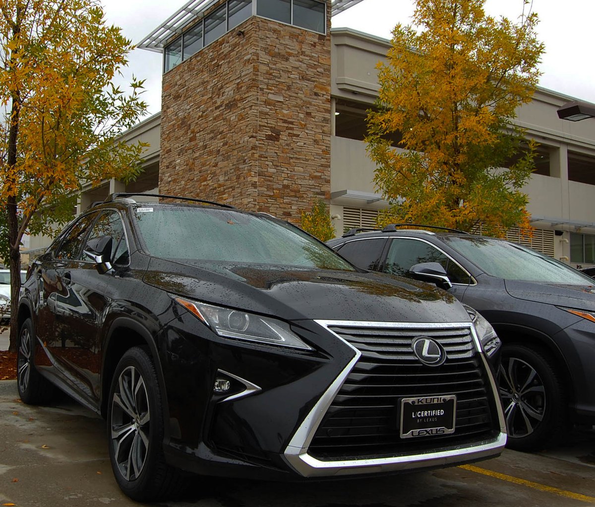 Kuni_Lexus's tweet image. The weather is changing almost as quick as the leaves are changing color! Are your tires ready?? #LWATireEvent #LexusPlus