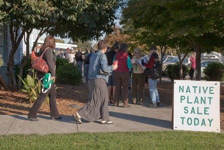Stop by LF booth this Sat. 9a-1p, Milo Baker CNPS native plant sale, Vets Bldg. Santa Rosa. #NativePlants