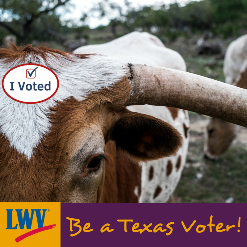 LWVTexas's tweet photo. Rural counties with less than 100,000 population can request weekend voting hours from their county' election officials. It only takes 15 interested folks to sign a petition: https://t.co/OCZvQroTPw #beatexasvoter #voterural #vote #vota #lwv #txcounties https://t.co/bDGFpXakGV